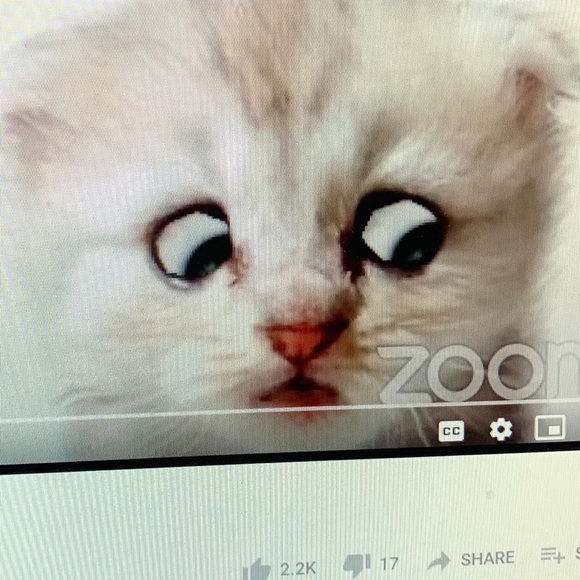 jeenacho